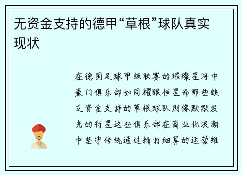 无资金支持的德甲“草根”球队真实现状